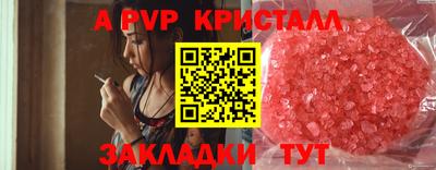ПСИЛОЦИБИНОВЫЕ ГРИБЫ Тара