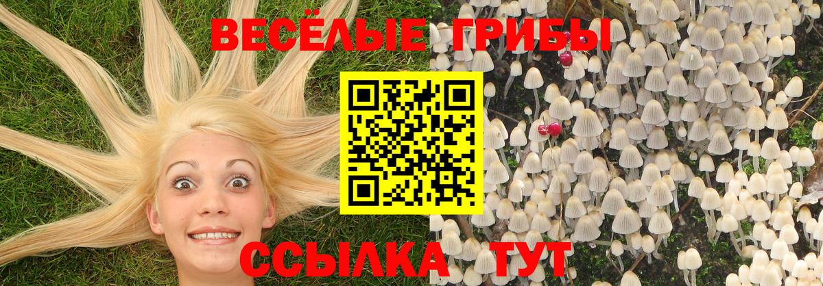 Галлюциногенные грибы ЛСД Ливны